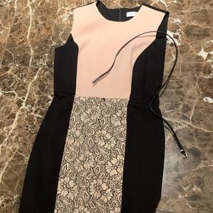 Black and Tan Work Dress